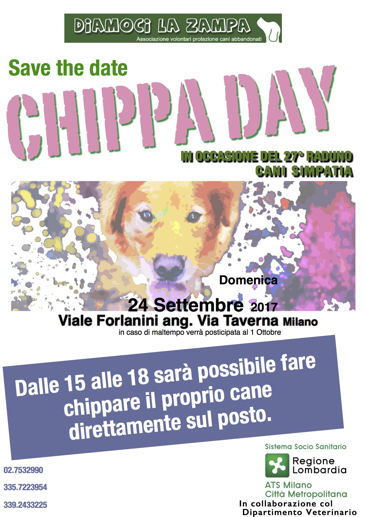 chippa dayok